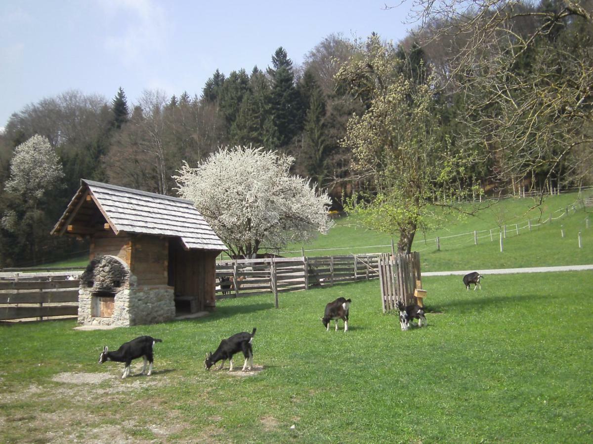 Vila Bauernhof Kaspergut Kirchberg bei Mattighofen Exteriér fotografie